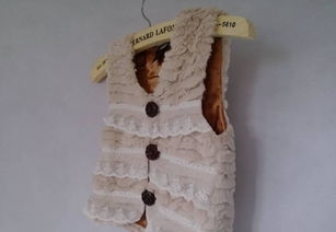 外贸童装精品 HM风格皮草背心与毛绒马甲背心的市场解析